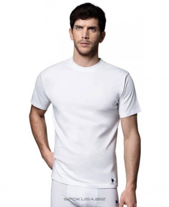 Футболка U.S. Polo ASSN 80196