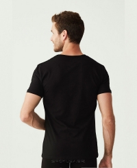 Футболка U.S. Polo ASSN 80199