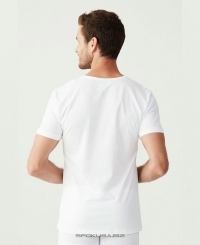 Футболка U.S. Polo ASSN 80199